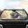 Regal White Lion Head Piercing Yellow Eyes Golden Cloudscape - Wildlife Lover Gift Car Sunshade - 4