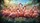 Flock of Pink Flamingos Tropical Wetlands Foliage - Wildlife Lover Gift Car Sunshade - 7
