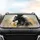 Windswept Majestic Black Horse Head White Blaze Flowing Mane - Equestrian Lover Gift Car Sunshade - 4
