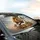 Lion Lamb Cross Crown Thorns JESUS - Christian Decor Gift Car Sunshade - 6