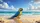 Blue-Yellow Macaw Tropical Beach Ocean Seashells - Wildlife Lover Gift Car Sunshade - 7
