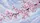Lush Cherry Blossom Pink Flowers Falling Petals Dewdrops Clouds - Nature Lover Gift Car Sunshade - 7