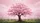 Soft Pink Cherry Blossom Tree Spring Landscape - Spring Season Decor Car Sunshade - 7