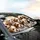 Fluffy Shih Tzu Puppies with Expressive Eyes - Dog Lover Gift for Shih Tzu Owners Car Sunshade - 6