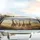 Giraffes Savanna Road Adventure Sun-Drenched Golden Hour - Wildlife Lover Gift Car Sunshade - 5