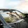 Surprised & Confident Jack Russell Terriers Car Road Trip - Dog Lover Gift Car Sunshade - 6