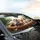 Fluffy White Dog Drivers - Pet Owner Road Trip Adventure Gift Car Sunshade - 6