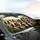 Joyful Border Collies Sunlit Field Rolling Hills - Dog Lover Pet Owner Gift Car Sunshade - 6