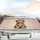 Fluffy Puppy Happy Expression Gentle Rays - Pet Lover Everyday Decor Gift Car Sunshade - 5