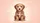 Fluffy Puppy Happy Expression Gentle Rays - Pet Lover Everyday Decor Gift Car Sunshade - 7