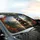 Raccoon Wooden Steering Wheel Autumn Forest Twilight Sky - Raccoon Lover Gift Car Sunshade - 6