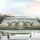 High-Detail Realistic Dalmatian Dogs with Friendly Golden Eyes - Dog Lover Gift Car Sunshade - 5