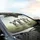 High-Detail Realistic Dalmatian Dogs with Friendly Golden Eyes - Dog Lover Gift Car Sunshade - 6