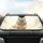 Majestic White Lion Golden Energy Swirls Luminous White Background - Wildlife Lover Gift Car Sunshade - 4