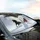 Wild Horses Galloping Deep Snow Winter Forest - Winter Wildlife Lover Gift Car Sunshade - 6