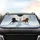 Wild Horses Galloping Deep Snow Winter Forest - Winter Wildlife Lover Gift Car Sunshade - 4