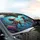Octopus Heart Sunglasses Tropical Fish Coral Underwater Garden - Ocean Life Gift Car Sunshade - 6