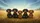Dachshunds Wildflower Field Golden Light - Dog Lover Car Decor Gift Car Sunshade - 7