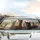 Fluffy Alpaca Herd Impressionistic Landscape - Wildlife Lover Gift Car Sunshade - 5