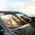 Fluffy Alpaca Herd Impressionistic Landscape - Wildlife Lover Gift Car Sunshade - 6