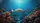 Mobula Ray Coral Reef Sunlit Ocean Seascape - Ocean Lover Gift Car Sunshade - 7