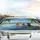 Three Dogs Vintage Convertible Car Tropical Beach - Summer Travel Essentials Car Sunshade - 5