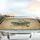 Majestic Moth Dragonfly Wildflowers - Wildlife Lover Gift Car Sunshade - 5
