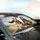 Basset Hounds Road Trip Adventure - Dog Lover Travel Essentials Gift Car Sunshade - 6