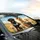 Happy Labrador Golden Retriever Dogs Puppies Lei Sunglasses - Dog Lover Gift Car Sunshade - 6