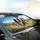 Sunlit Border Collies Rolling Hills Mountain Landscape - Outdoor Dog Lover Gift Car Sunshade - 6