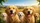 Joyful Golden Retriever Puppies Pastoral Landscape - Dog Lover Gift Car Sunshade - 7