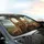Realistic Brown Tabby Ginger Cats Open Road Trip Journey - Cat Lover Gift Car Sunshade - 6