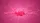 Fuchsia Pink Liquid Burst Trails Radial Streaks - Vehicle Decor Gift Car Sunshade - 7