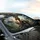 Twilight Safari Horse Panda Leopard Adventure - Thrilling Wildlife Lover Gift Car Sunshade - 6