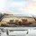 Tabby Cats Driving Open Vehicle Rolling Hills Road Trip Adventure Gift Car Sunshade - 5