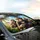 Chimpanzees Glasses Steering Wheel Tropical Scene - Wildlife Lover Gift Car Sunshade - 6