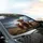 Highland Cow Moorland Landscape - Farmhouse Car Decor Gift for Cow Lover Car Sunshade - 6
