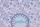 Bohemian Folk Art Paisley Floral Diamond Scalloped Medallion - Everyday Boho Lifestyle Gift Quilted Tote Bag - 7