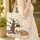 Fox Owl Autumn Leaves Gnarled Tree - Wildlife Lover Fall Decor Gift Quilted Tote Bag - 4