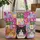 Orange Tuxedo Grey Tabby Cat Faces Floral Patchwork Name Ribbon - Everyday Cat Lover Gift Quilted Tote Bag - 1