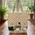 Storybook Name Sign Three Cats Paw Prints Fish Bone - Cat Lover Everyday Tote Quilted Tote Bag - 3