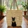Black Cat Egyptian Hieroglyphs Medallion Ankh - Ancient Egypt Lover Gift Quilted Tote Bag - 3