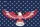 Personalized Bald Eagle Flag Stars - Independence Day Gift Quilted Tote Bag - 7