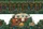 Vintage Camper Trailer Adirondack Chairs Forest Landscape Outdoor Adventure Gift for Camping Lover Quilted Tote Bag - 7