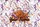 Orange Fish Street Art Ink Splatter Energetic Splashes - Fish Lover Gift Quilted Tote Bag - 7