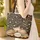 Tabby Cat Books Apple Falling Fruit Flowers - Reading Lover Gift Quilted Tote Bag - 4