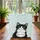 Black White Tuxedo Cat Floral Name Wreath - Cat Lover Everyday Gift Quilted Tote Bag - 3