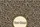 Leopard Spots Name Medallion Everyday Tote Travel Essentials Birthday Gift Leopard Lover Quilted Tote Bag - 7
