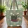 Vintage Books Botanical Garlands Sage Leaves - Book Lover Bag Gift Quilted Tote Bag - 3