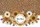 Leopard Print Your Name Floral Wreath Sunflowers Daisies Earthy Boho Lifestyle Quilted Tote Bag - 7